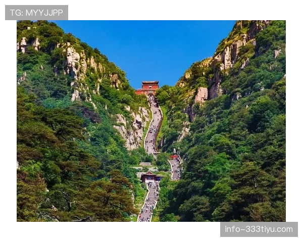山东泰山是否重回巅峰，当前阶段表现波动对竞争格局产生影响